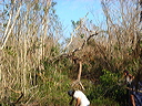 dsc00516